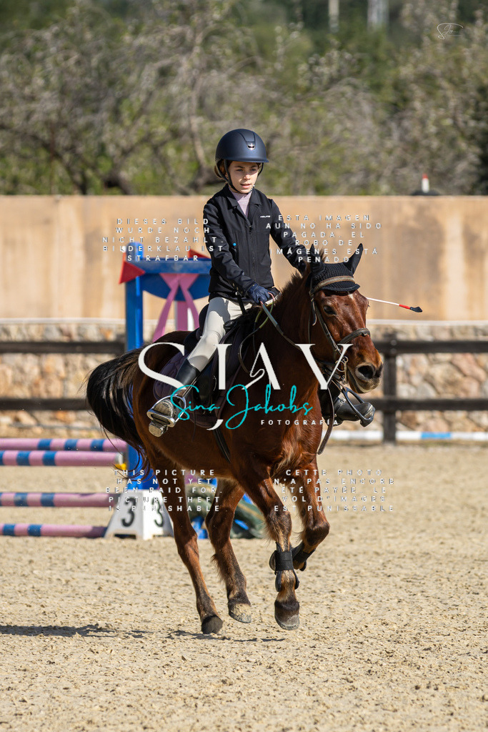 IMG_5977 | s-jay-photography - Realisiert mit Pictrs.com