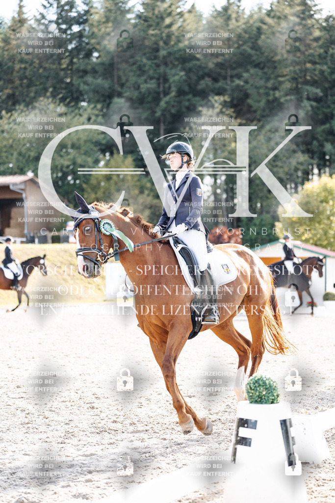 CK901798 | Turnierfotografie Pferdefotografie Trier Rheinland-Pfalz Pferdesport Reitsport Tierfotografie Sportfotografie Pferdevideo Pferdevideografie Equestrianvideography equestrianphotography  - Realisiert mit Pictrs.com