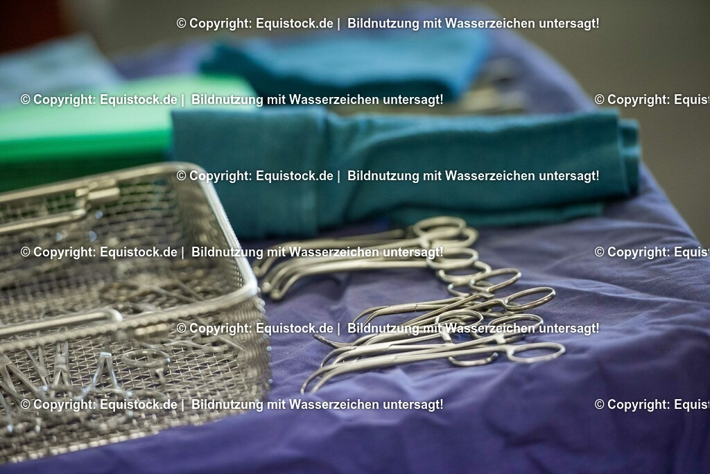 20160309_Sehnenschnitt_OP__0020 | equistock