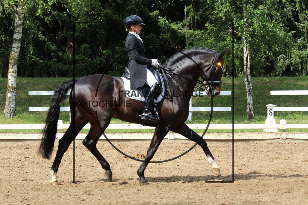 IMG_9479 | franziskalange - Realisiert mit Pictrs.com