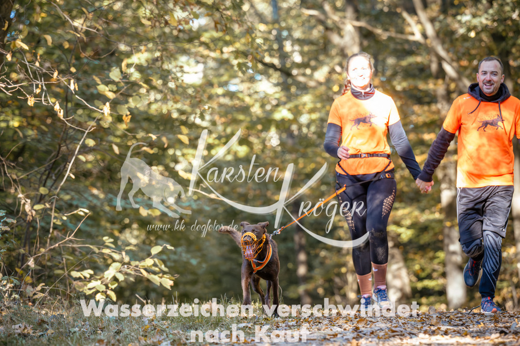 1120_ZZ92013 | kk-dogfotos