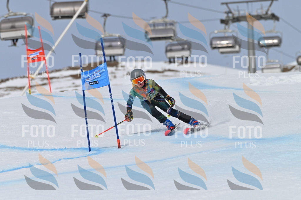 BGV_5012 | holidayphoto