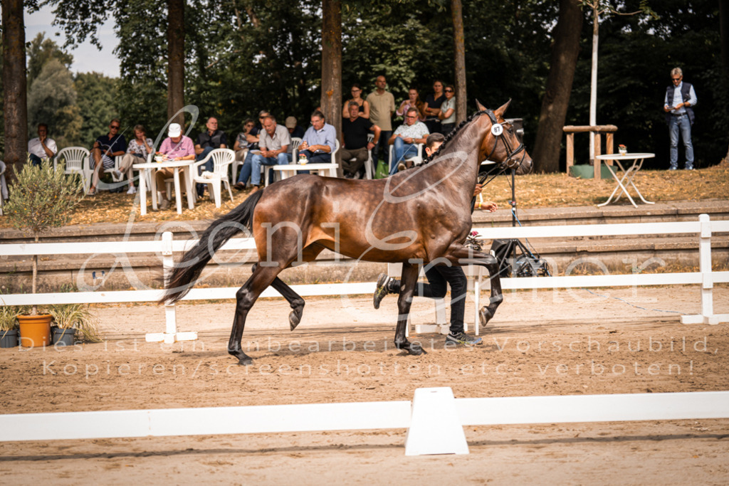 5.Fr00064 | Leoni Ertmer Photography - Realisiert mit Pictrs.com