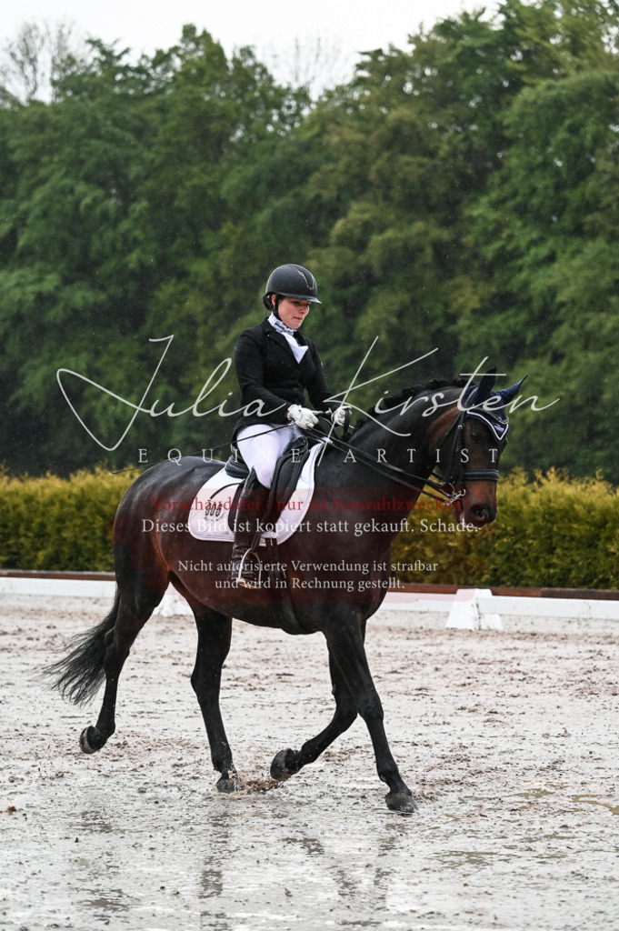 DSC_4686 | Pferde- und Turnierfotografie in Westsachsen. Pferdeportraits, Auftragszeichnungen und intuitive Kunst.
