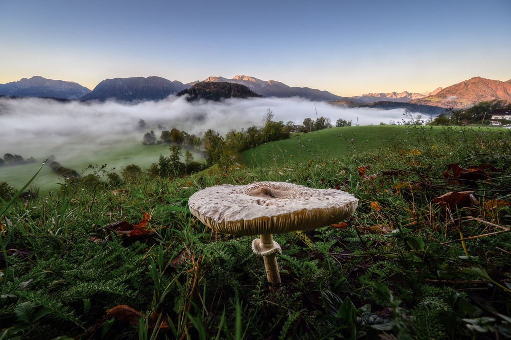 2024-10-14 15-31-13 (B_R8_S4) | Fotografie die berührt. - Realisiert mit Pictrs.com