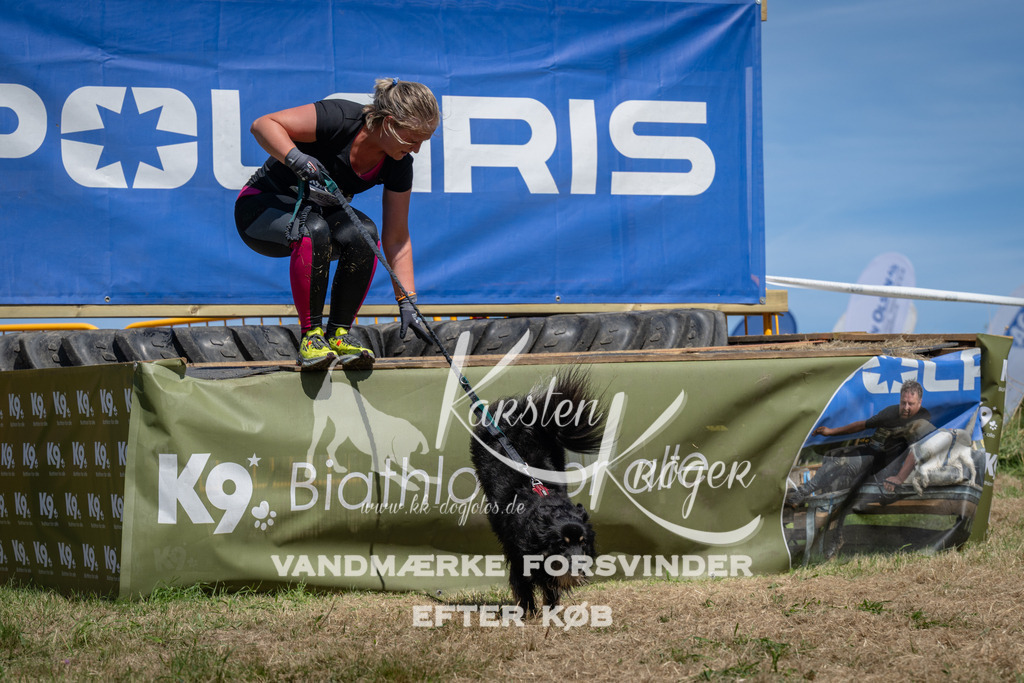 1331_ZZ99019 | kk-dogfotos