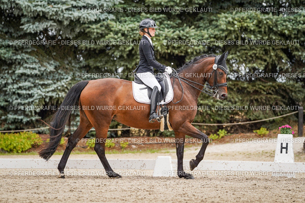 DSC04544 | Pferdegrafie