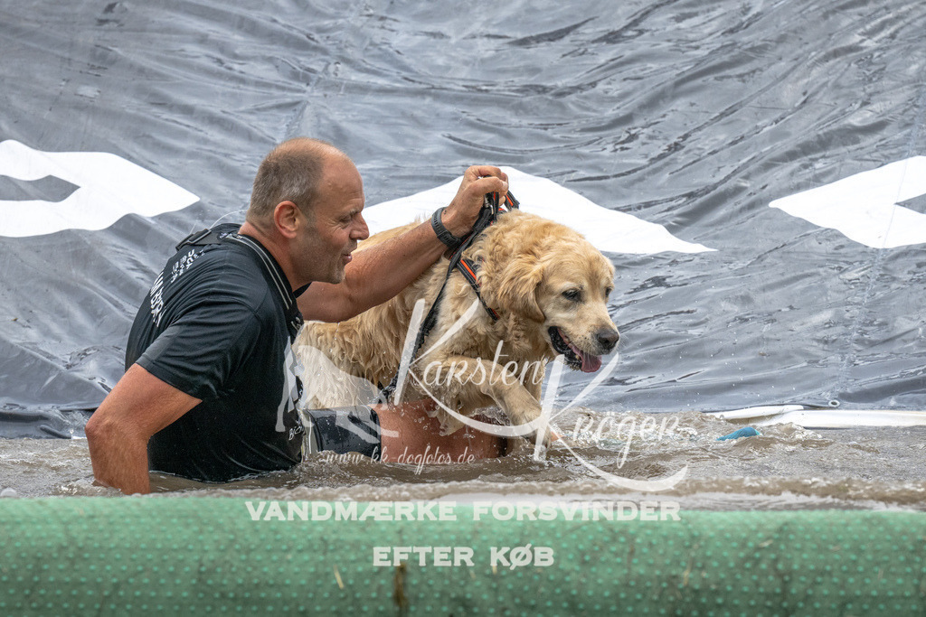 1532_ZZ94111 | kk-dogfotos
