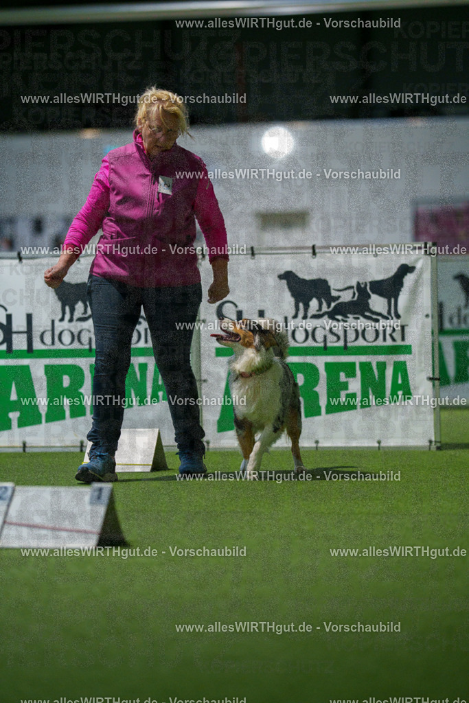7R504076 | Professionelle Tierfotografie in Mönchengladbach von Daniel Wirth (allesWIRTHgut). Liebevolle & natürliche Bilder von Hunden & Katzen für unvergessliche Erinnerungen.
