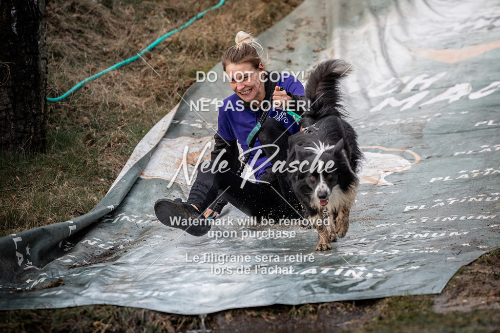 nelerasche_1330-1400_312 | nelerasche