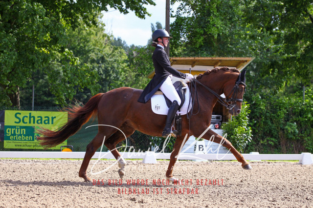 DKP41422 | Deine Turnierfotos vom Reitturnier online kaufen: Dressur, Springen & Siegerehrung. Professionelle Pferdefotografie aus dem Rheinland – als Download & Print.Alternative: Turnierfotograf für den Pferdesport: Finde deine Fotos von Dressur- und Springturnier