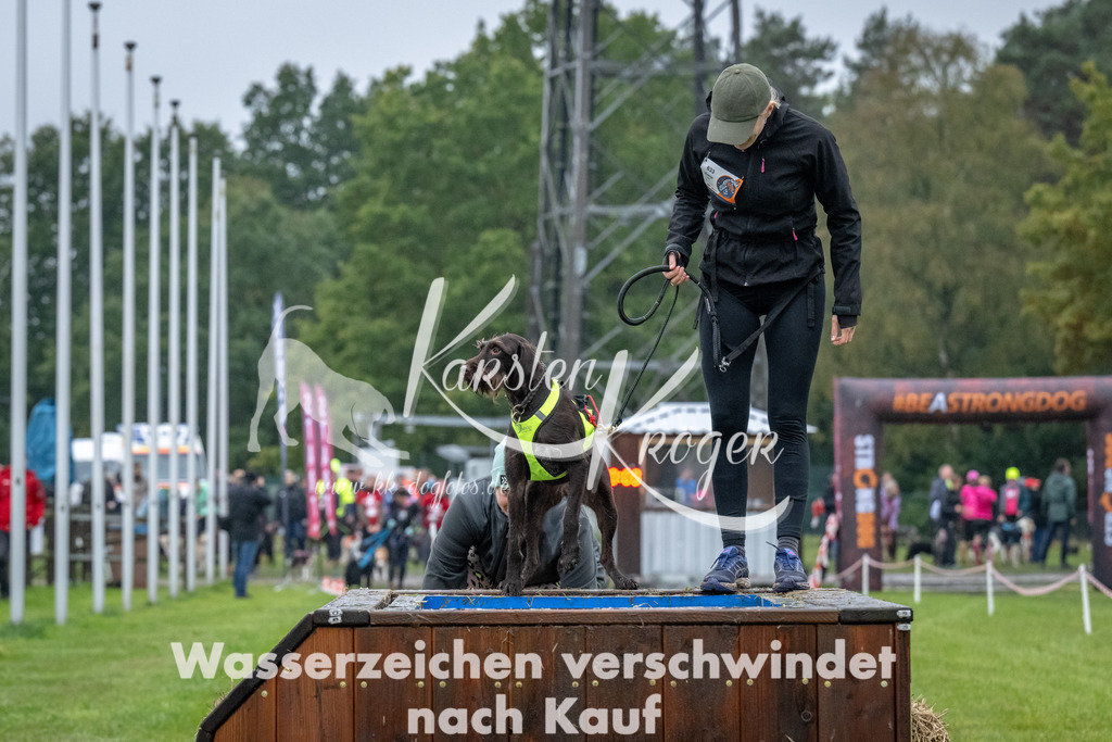 1109-93749 | kk-dogfotos