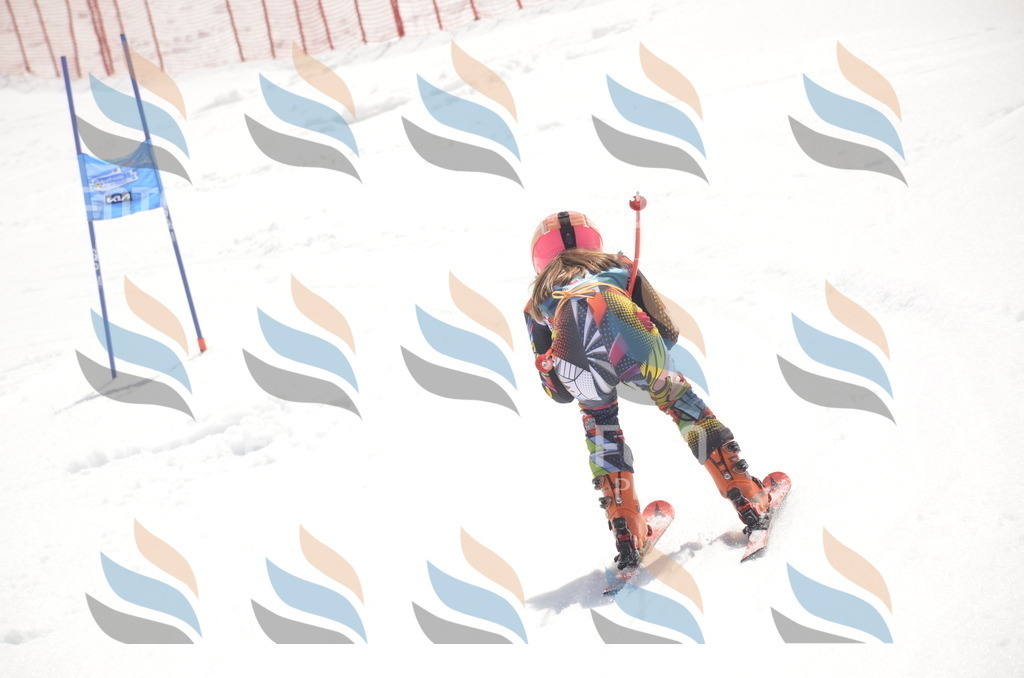 _ELE9289 | holidayphoto