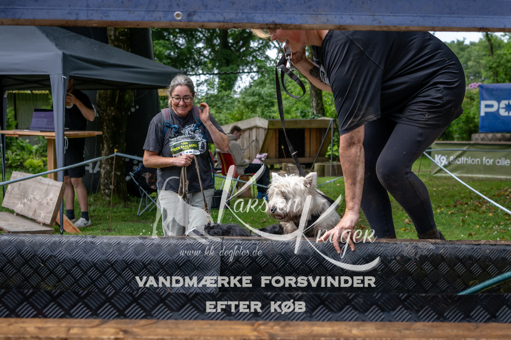 1127_ZZ94425 | kk-dogfotos
