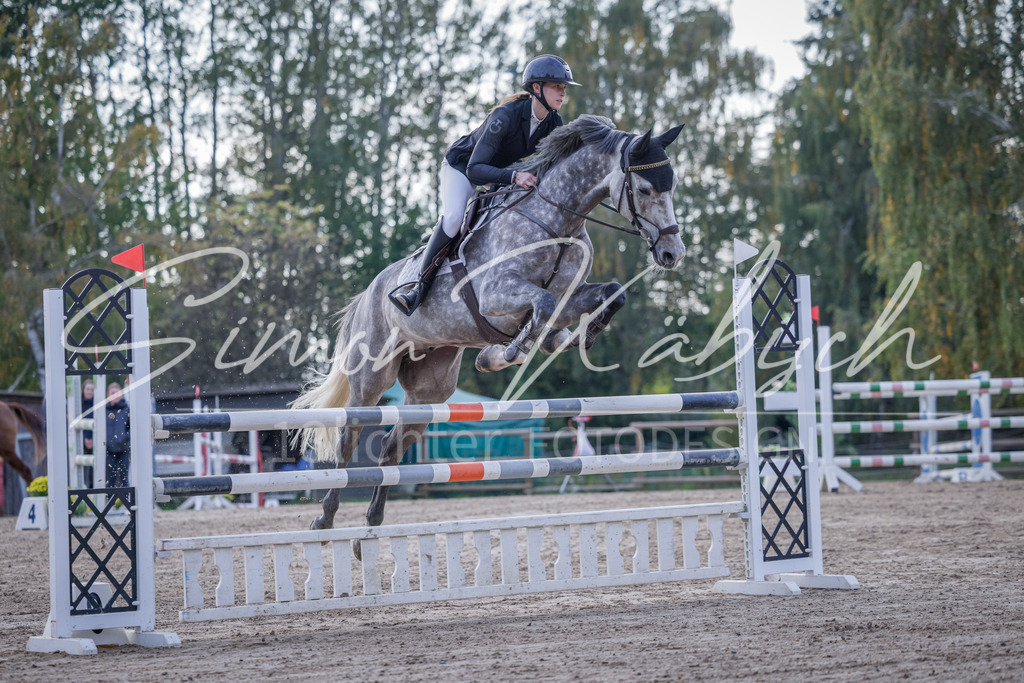 20251012-_3LI5590 | Tierfotografie Pferde, Hunde, Katzen, Haustiere.
Turnierfotografie Reitturniere, Reiten, Springreiten, Dressur in Hanau, dem Main-Kinzig-Kreis und dem Rhein-Main- Gebiet um Frankfurt