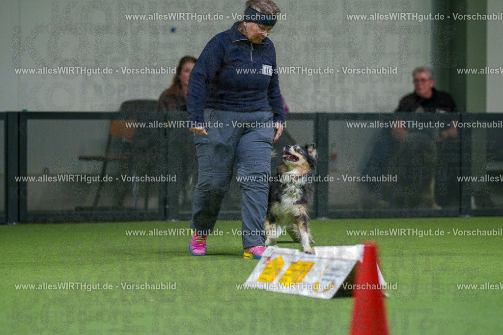 7R504278 | Professionelle Tierfotografie in Mönchengladbach von Daniel Wirth (allesWIRTHgut). Liebevolle & natürliche Bilder von Hunden & Katzen für unvergessliche Erinnerungen.