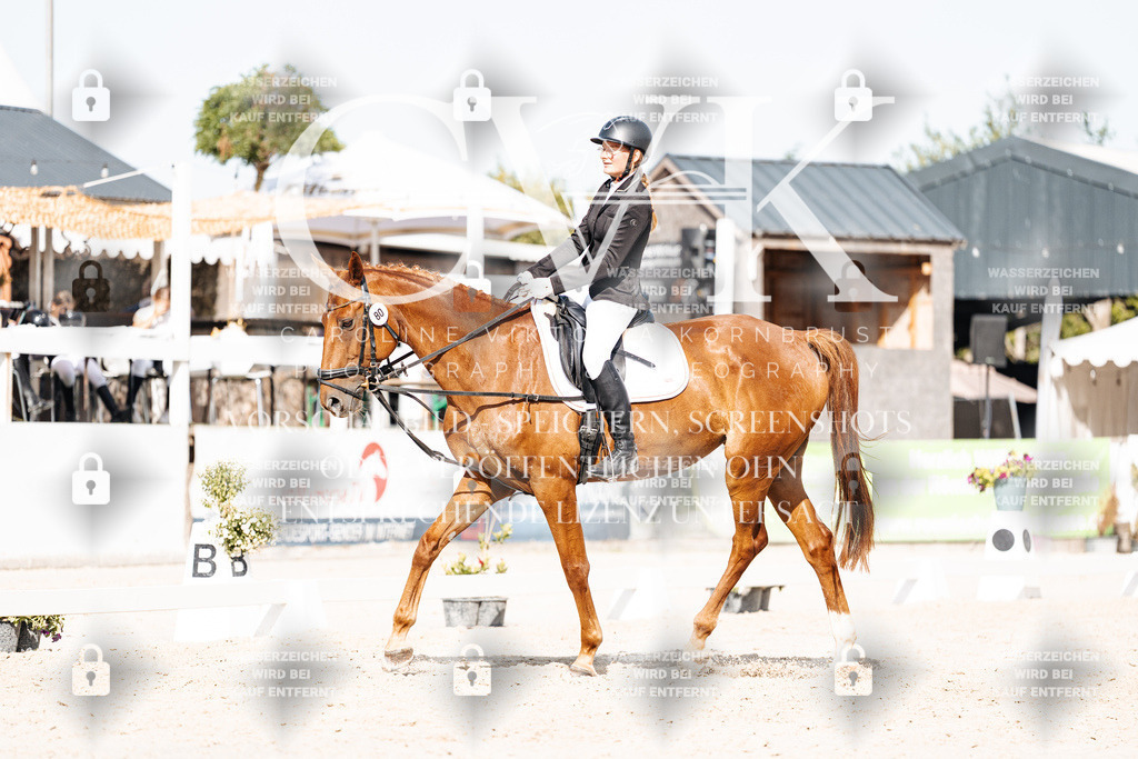 CK905527 | Turnierfotografie Pferdefotografie Trier Rheinland-Pfalz Pferdesport Reitsport Tierfotografie Sportfotografie Pferdevideo Pferdevideografie Equestrianvideography equestrianphotography  - Realisiert mit Pictrs.com