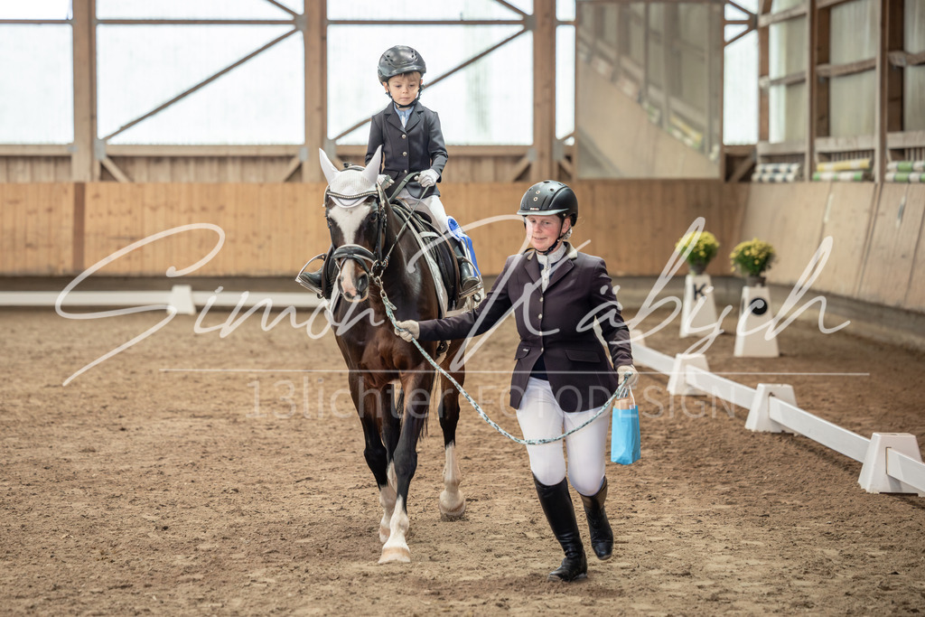 20251011-_3LI9125 | Tierfotografie Pferde, Hunde, Katzen, Haustiere.
Turnierfotografie Reitturniere, Reiten, Springreiten, Dressur in Hanau, dem Main-Kinzig-Kreis und dem Rhein-Main- Gebiet um Frankfurt
