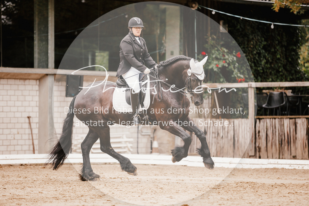 3I6A7768 | Stimmungsvolle Portraits und Reitsportfotografie im Ruhrgebiet und im Münsterland.

Pferdefotografie, Hundefotografie, Tierfotografie, Reportagen, Portraits von Tier und Mensch, Turnierfotografie in Bochum, Recklinghausen, Marl, Haltern am See, Dülmen.. - Realisiert mit Pictrs.com