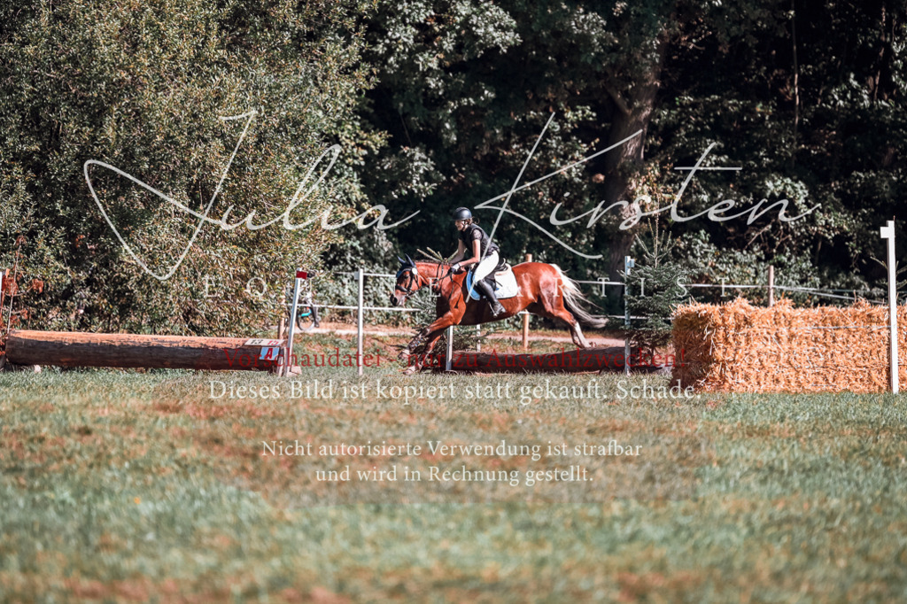 DSC_0940 | Pferde- und Turnierfotografie in Westsachsen. Pferdeportraits, Auftragszeichnungen und intuitive Kunst.