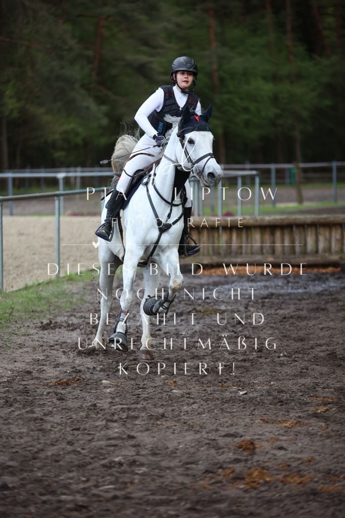 IMGT1992 | pl-fotografie