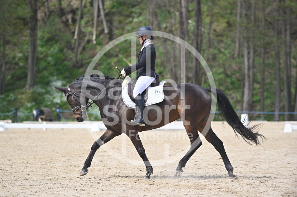 DSC_3097 | sattelsport - Realisiert mit Pictrs.com