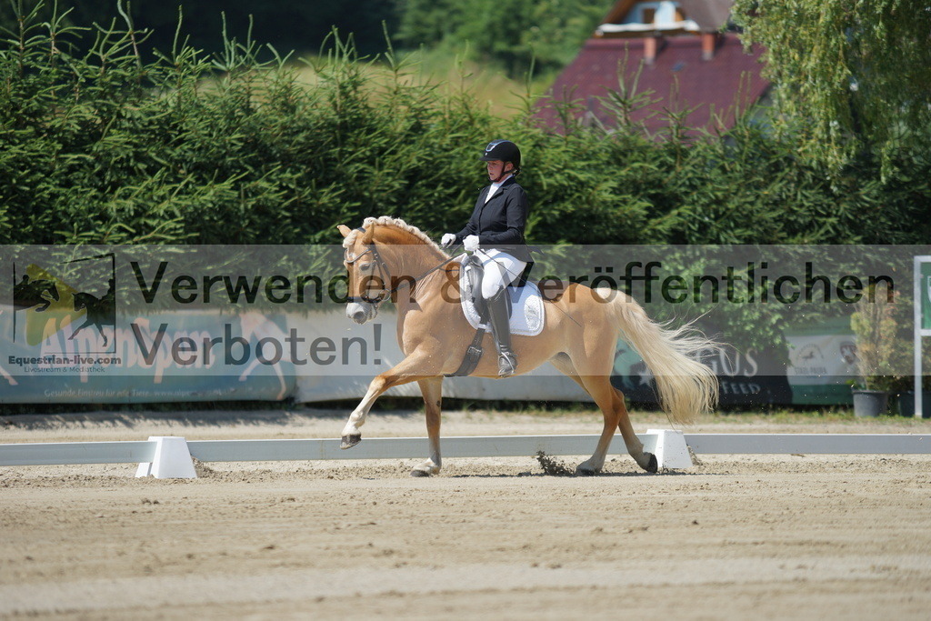 DSC02226 | equestrian-live-com