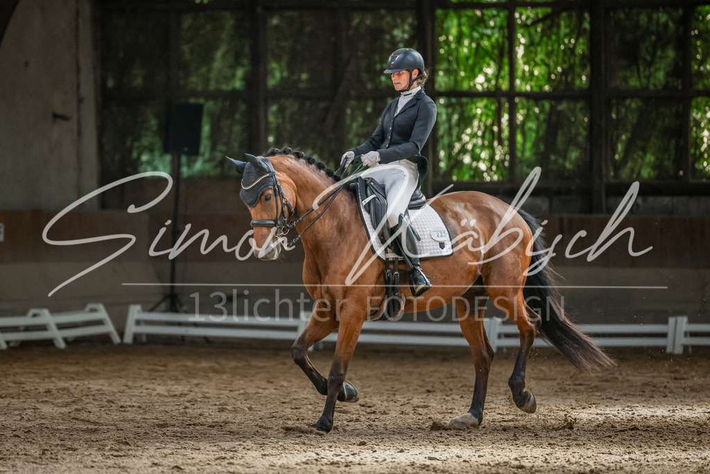 20250621-_3LI0097 | Tierfotografie Pferde, Hunde, Katzen, Haustiere.
Turnierfotografie Reitturniere, Reiten, Springreiten, Dressur in Hanau, dem Main-Kinzig-Kreis und dem Rhein-Main- Gebiet um Frankfurt