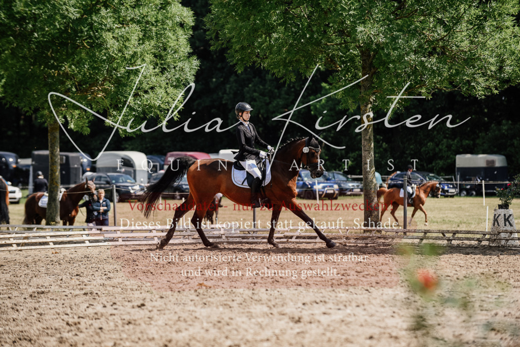 DSC_0489 | Pferde- und Turnierfotografie in Westsachsen. Pferdeportraits, Auftragszeichnungen und intuitive Kunst.