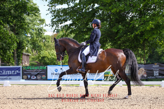 DKP41349 | Turnierfotos kaufen im Webshop von Daniel Kuhl Photography – entdecke professionelle Reitsportfotos aus Turnieren & Events. Hochwertige Turnierbilder online bestellen & sichern. Jetzt Fotos von Reitsportturnieren kaufen!