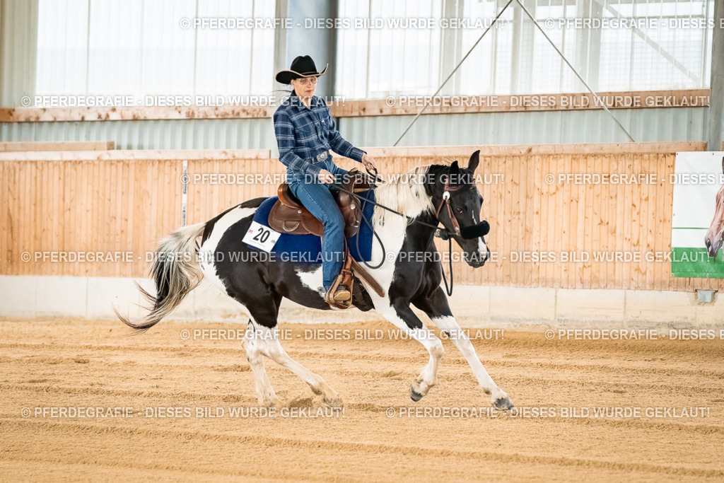 DSC02678 | Pferdegrafie