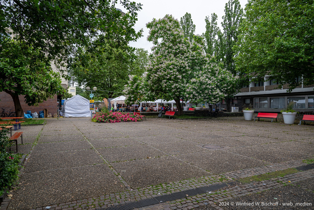 452_DSC_6909 | <Fotografie> <Video> <Film> <Winfried Bischoff> - Realisiert mit Pictrs.com