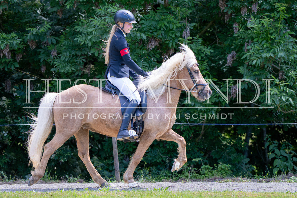 KAI02603 | Ihr sucht einen Fotografen für eure nächste OSI? Ich begleite auch euer Turnier für Islandpferde fotografisch.  - Realisiert mit Pictrs.com
