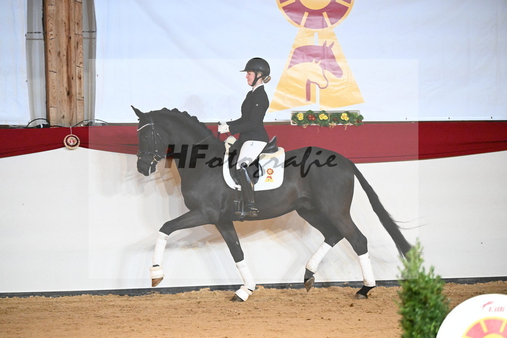 Best-Rubin_2241707 | hf-fotografie - Realisiert mit Pictrs.com