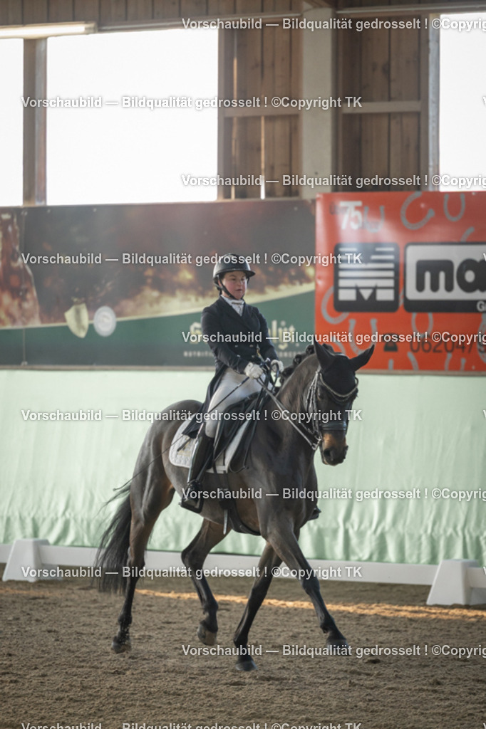 _D5A7694 | Emotionale Pferde- & People-Fotografie rund um Heidelberg, Leimen & Umgebung. Natürliche Fotos von Pferd, Mensch & Familie. Jetzt Termin sichern!