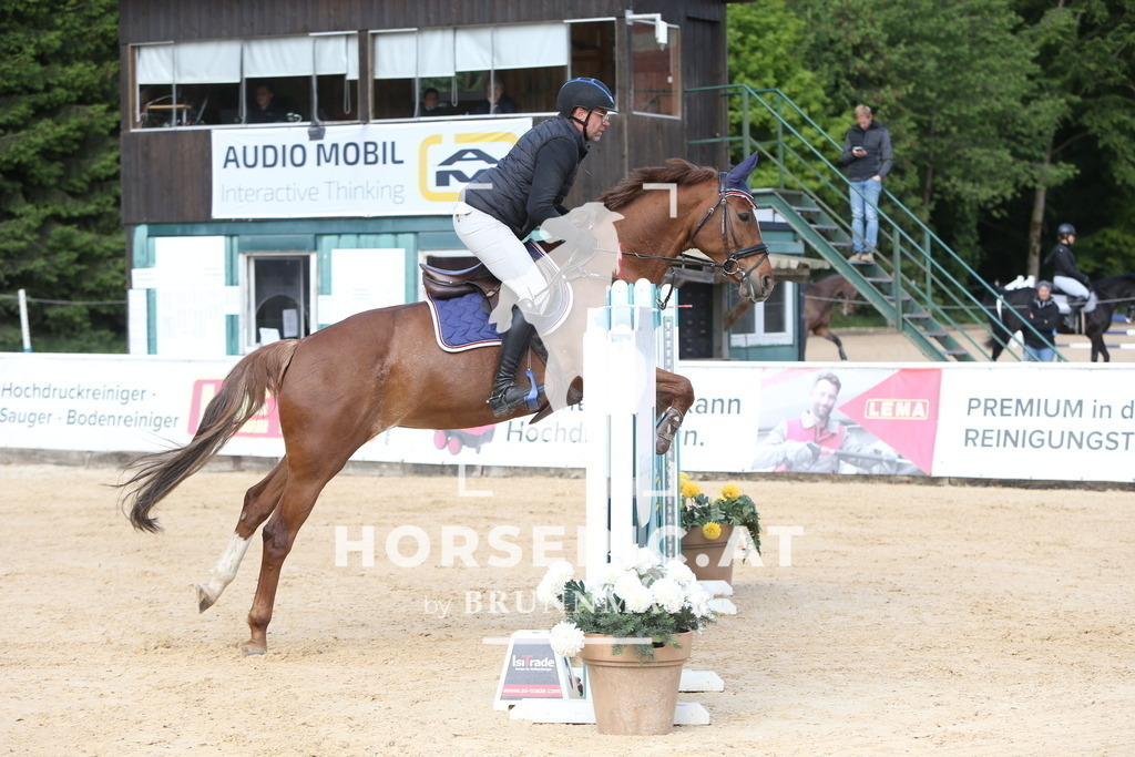 DL2Q0101 | Willkommen bei Brunnmayr - Design & Fotografie – Ihrem Spezialisten für Reitturniere und Pferdeveranstaltungen in Oberösterreich, Salzburg und Bayern! Seit über 17 Jahren sind wir leidenschaftlich dabei.