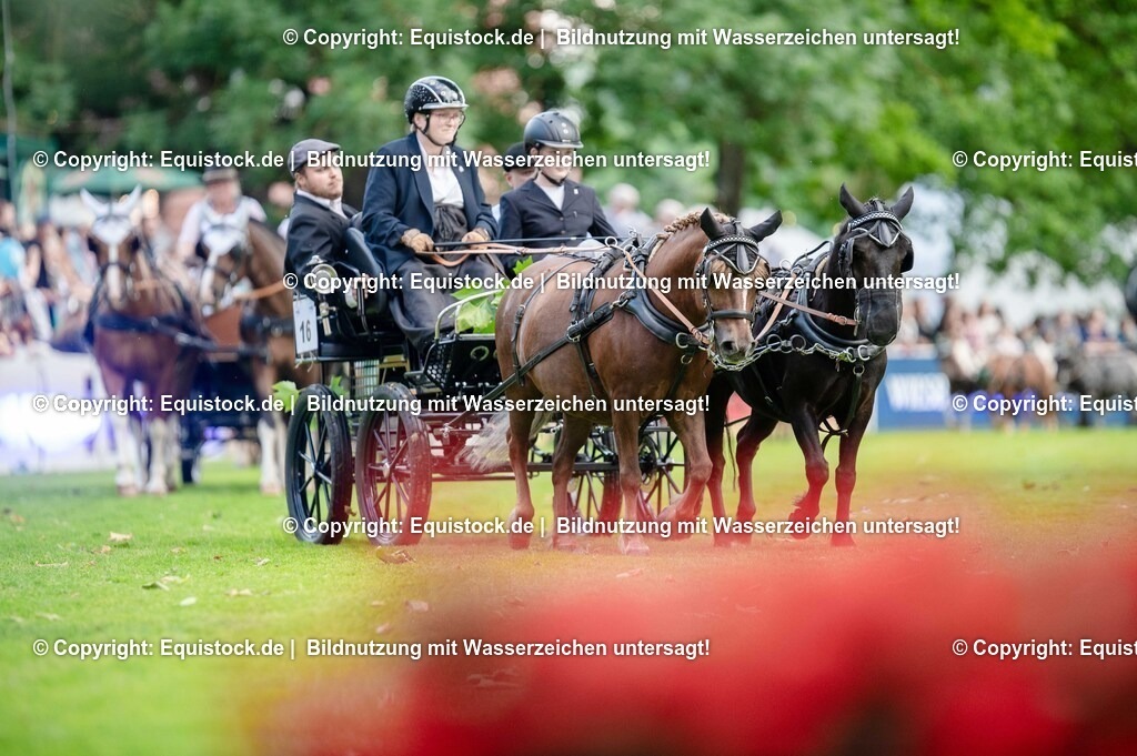 20250606_Lange-Pferdenacht_0147 | Foto: Thomas Hartig