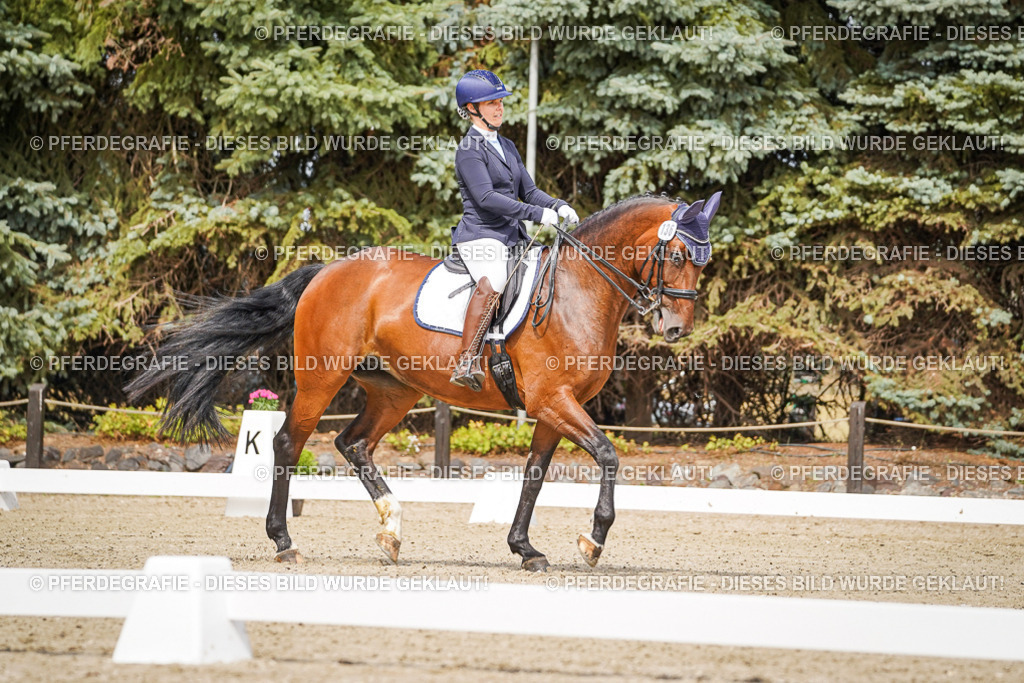 DSC05147 | Pferdegrafie