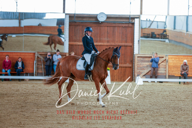 _62_5373 | Turniersportfotografie; Pferdefotografie; Dressurfotografie