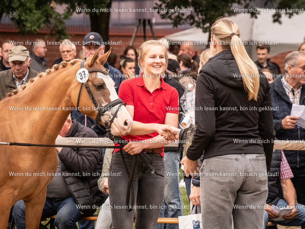 A10I3353 15.56.14 | photographylinaismer - Realisiert mit Pictrs.com