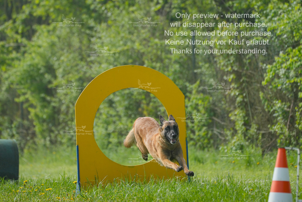 Sa_SprintVK_Gr1_03-42 | stephaniefillaphotographie - Realisiert mit Pictrs.com