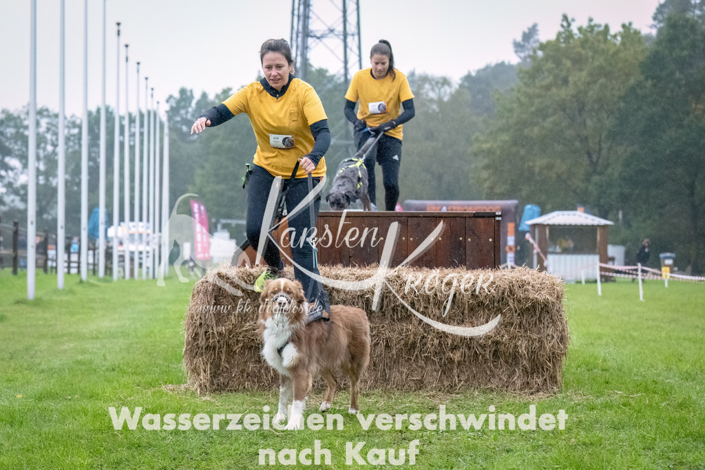 0908-_ZZ93305-Bearbeitet | kk-dogfotos