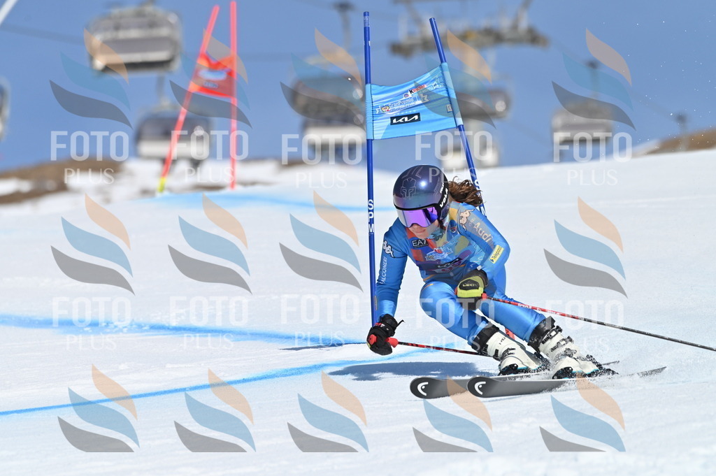 BGV_9440 | holidayphoto