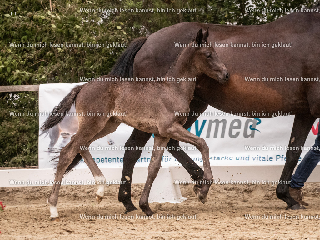 A10I5316 | photographylinaismer - Realisiert mit Pictrs.com