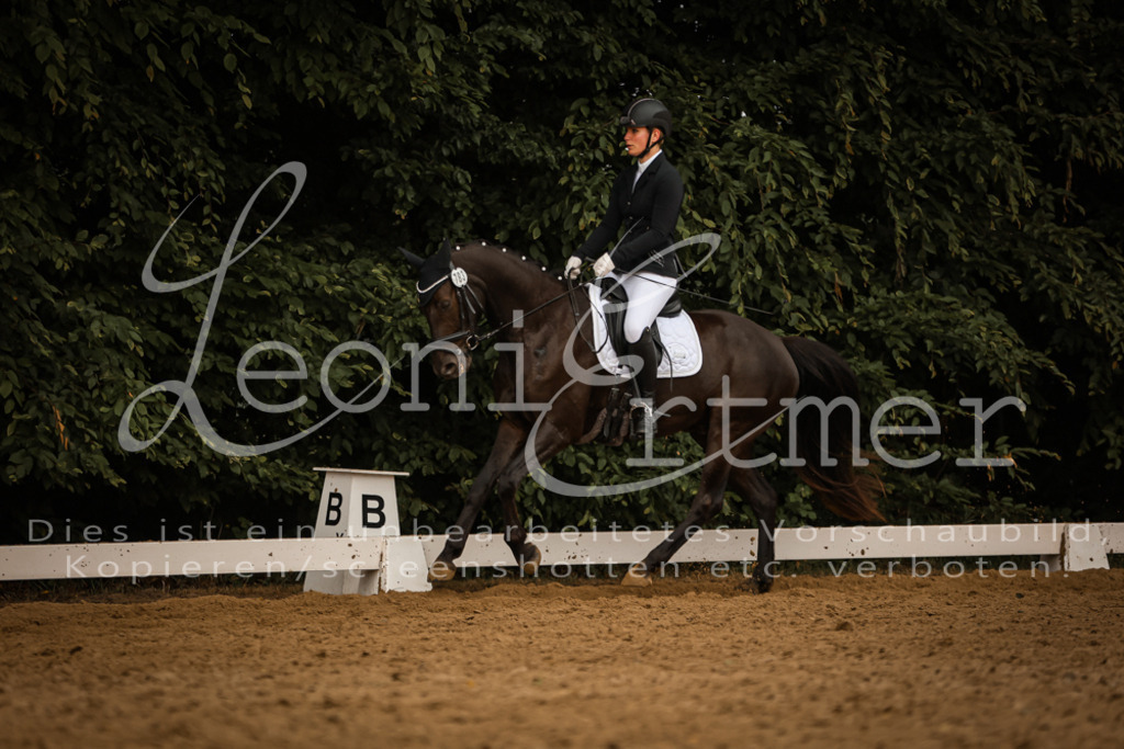 DoDrA200320 | Leoni Ertmer Photography - Realisiert mit Pictrs.com