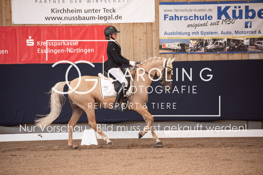 DSC_3241 | Carolin Gieschke