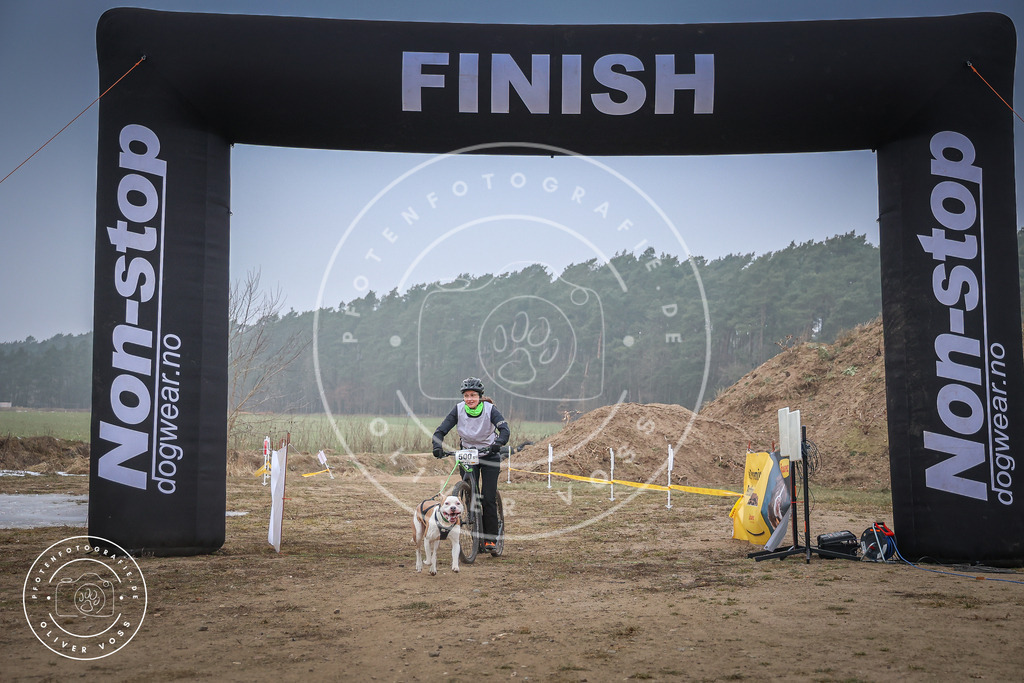 Pfotenfotografie_0L8A2633 | Hundefotografie, Tierfotograf, Pfotenfotografie, Fotoshooting Hund, Hunde Portrait, Hundesport, Hundeportraits, Heideshooting, Hunde, Sportfotograf, Hundefotograf, Turnierhundsport, THS,  - Realisiert mit Pictrs.com