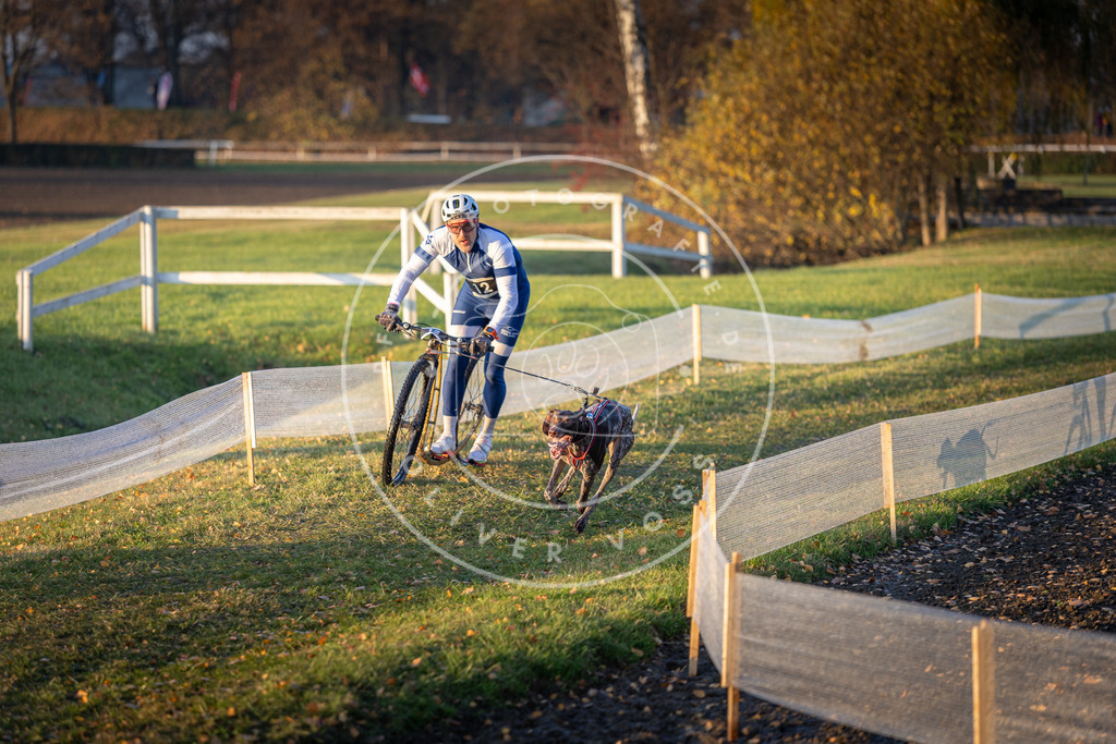 CaniXpix_DV3A9486 | Hundefotografie, Tierfotograf, Pfotenfotografie, Fotoshooting Hund, Hunde Portrait, Hundesport, Hundeportraits, Heideshooting, Hunde, Sportfotograf, Hundefotograf, Turnierhundsport, THS,  - Realisiert mit Pictrs.com
