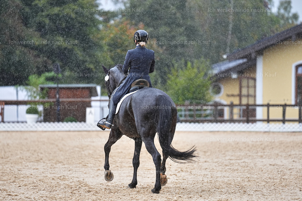 8_2-171-DRESSUR S_  -Marixx-4620 | working equitationturnier fotograf videograf stoibphotography marixx film working equitation deutschland reitsport turnierfotografie eventfotografie equestrian events