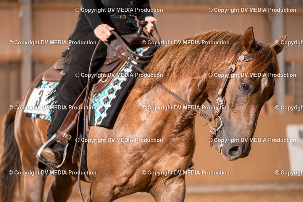 Losheim Tag 2-260 | dv-media-shop - Realisiert mit Pictrs.com